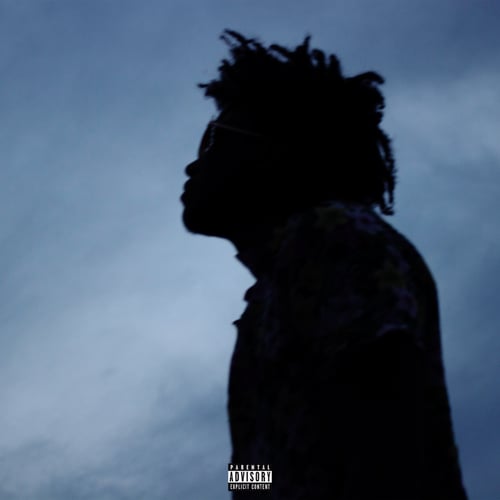 A LITTLE BIT OF SUNSHINE