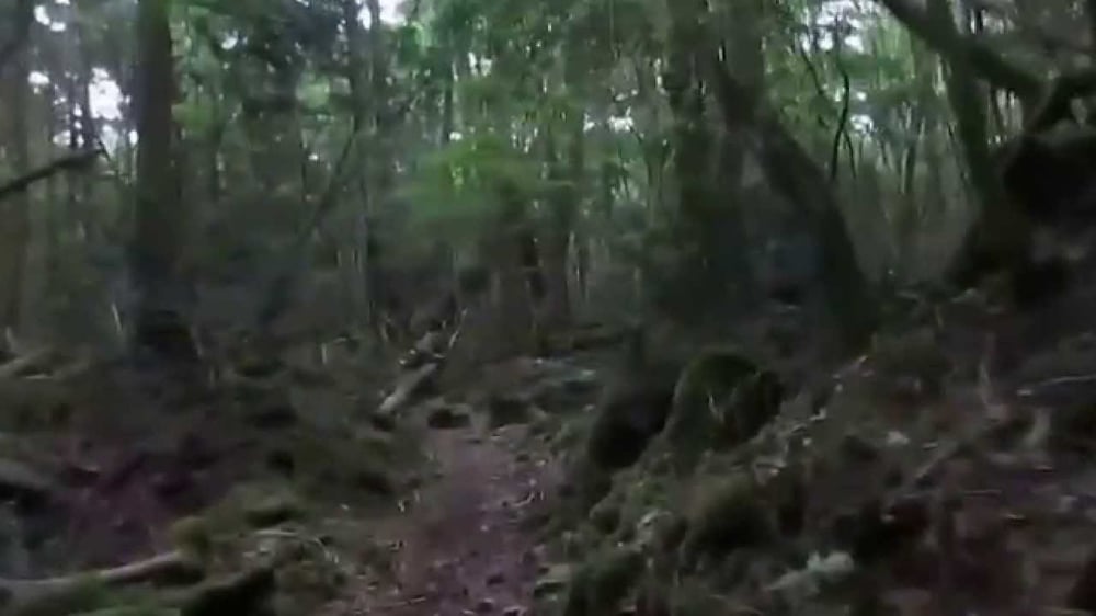 DØVES PRIVATE SET 7/22