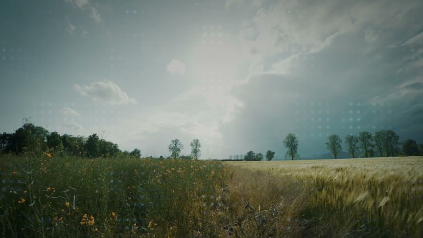 Dear Gravity & Simon Wester ●● Grace (Official Video)