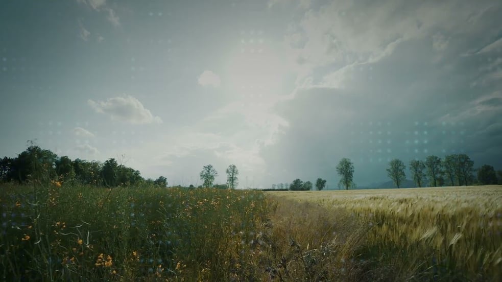 Dear Gravity & Simon Wester ●● Grace (Official Video)
