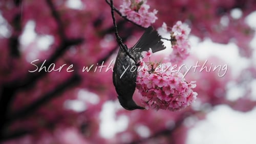 Falling - Lyric Video