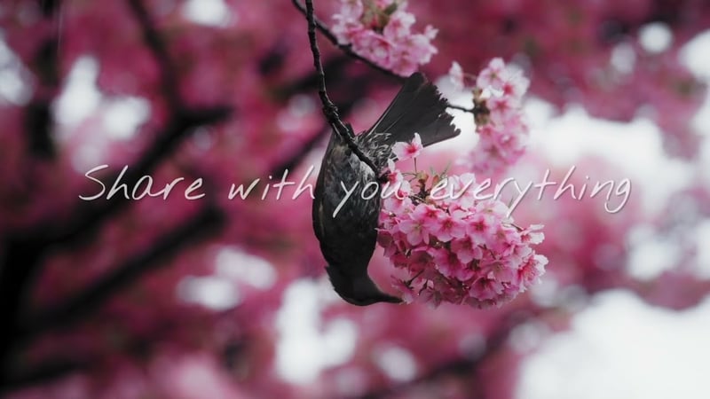 Falling - Lyric Video