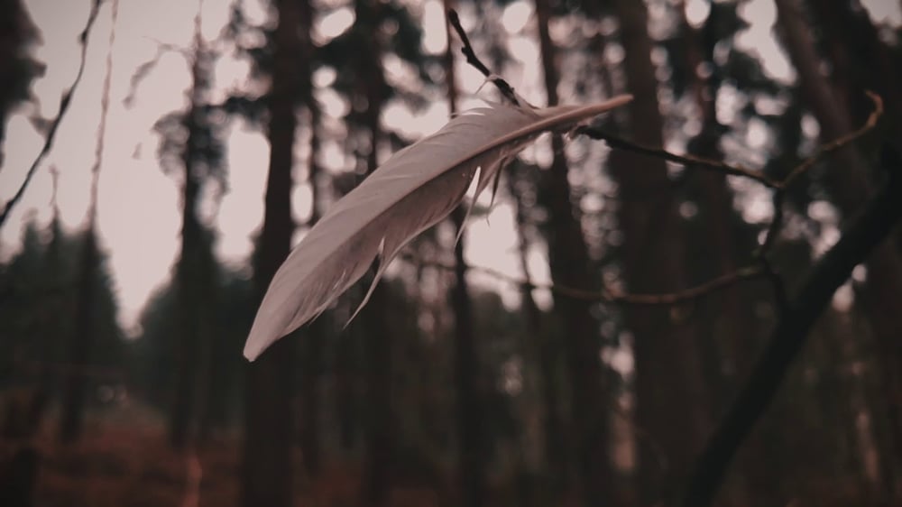 'Ice Breaker' Official Video by Duotone