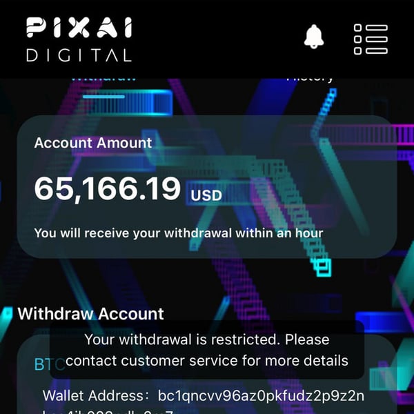 RESTRICTED (You Can Withdraw in 1 Hour) image
