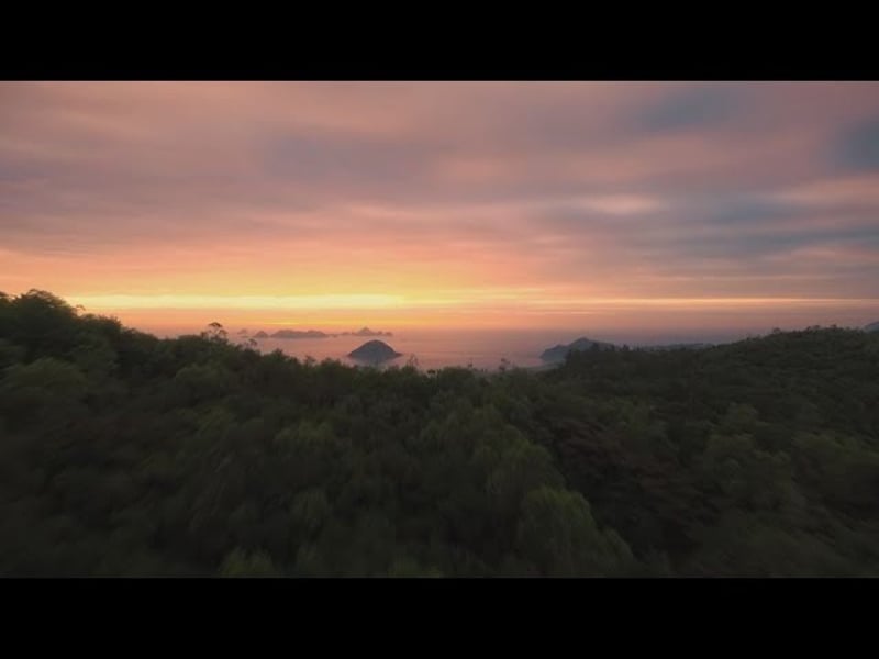 Ally Kerr - Home