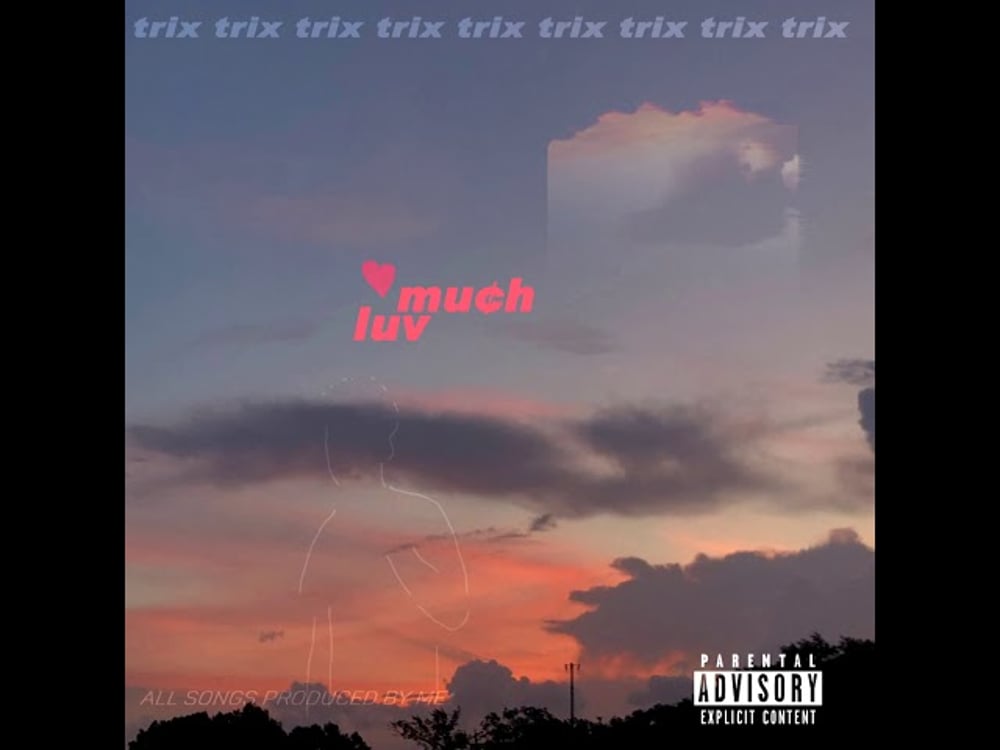 trix- much luv (full mixtape -2019)