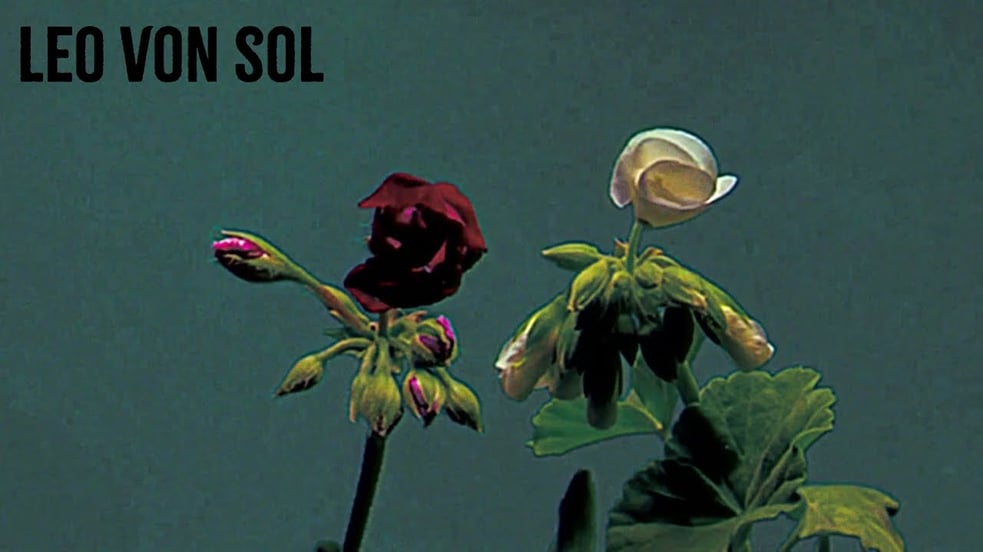 Even the Darkest Flowers Still Bloom [Official Lyric Video]
