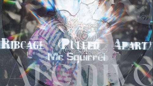 Mr. Squirrel - Ribcage (Pulled Apart)