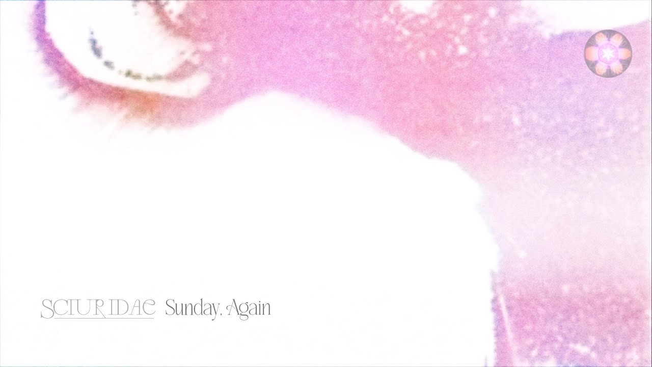 Sciuridae  - Sunday, Again (Official Visualiser)