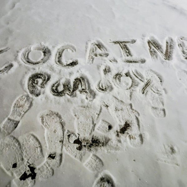 Cocaine's paradox image