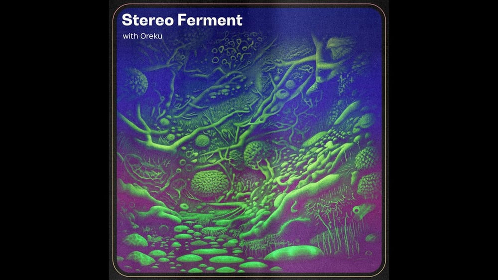 STEREO FERMENT #43: Balearic, Boogie, Acid, Psych