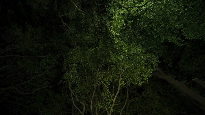 Dear Gravity • Nap (Official Video)