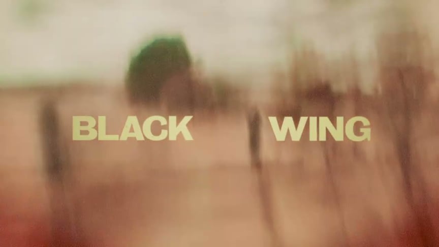 Jen Lush & The Field - Black Wing (Official Music Video)