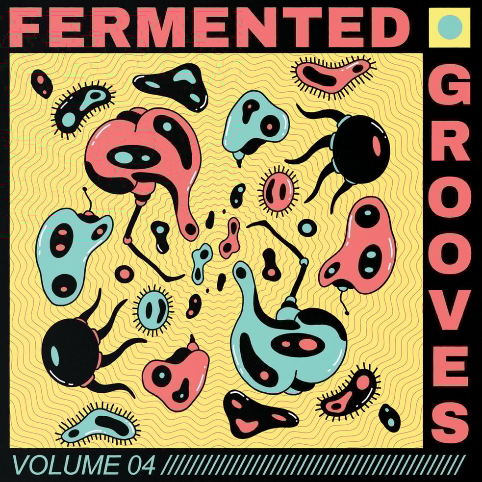 Fermented Grooves Vol 4 (SF017) - Digital