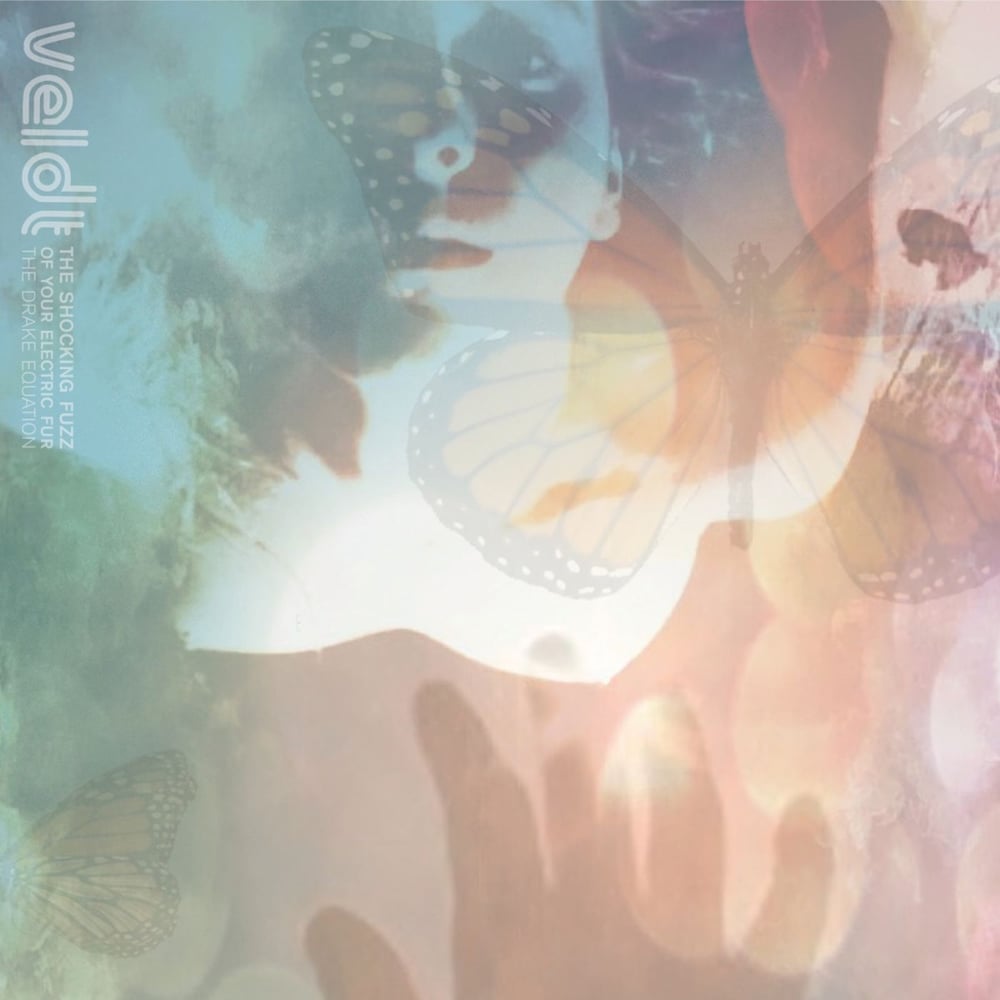 The Shocking Fuzz of Your Electric Fur: The Drake Equation EP