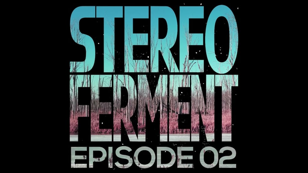 Stereo Ferment Mix Series 02 (dub, global boogie, afro)