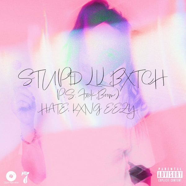 Stupid Lil Bxtch (P.S. Fxck Boom) image
