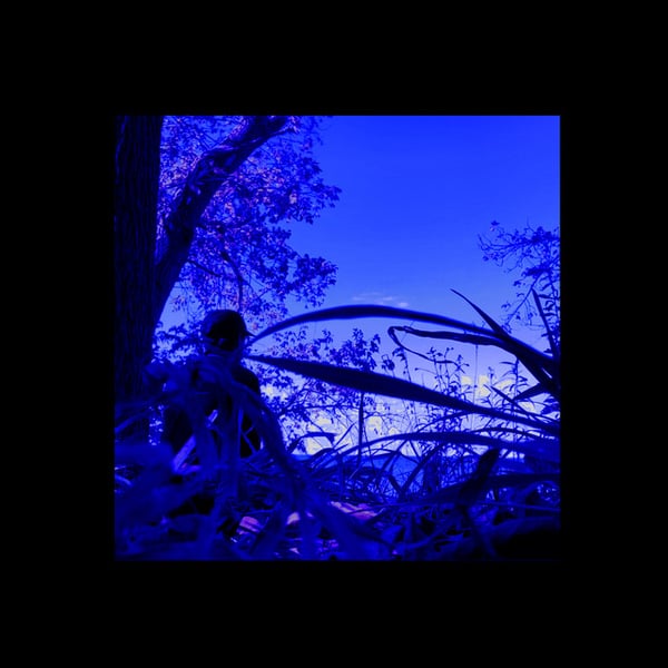 How I Really Feel. image