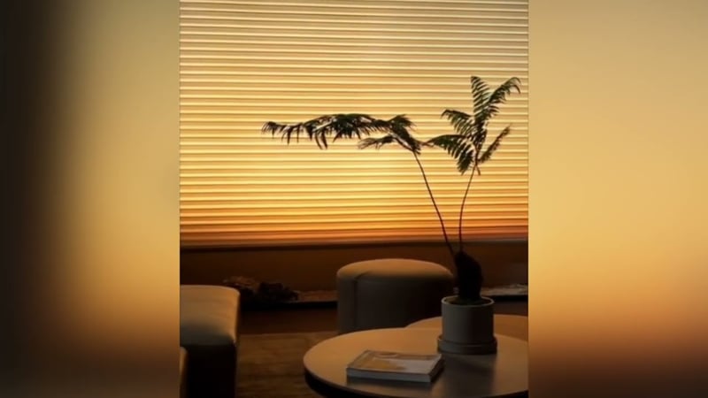 Chill x Soulful Type Beat 2025 · "Peace of Mind"