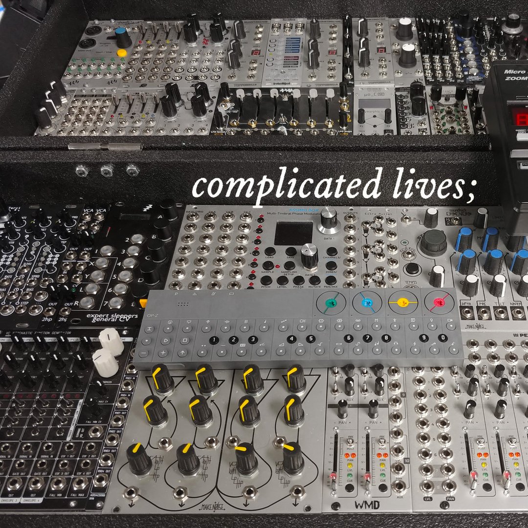 complicated lives; - Digital image