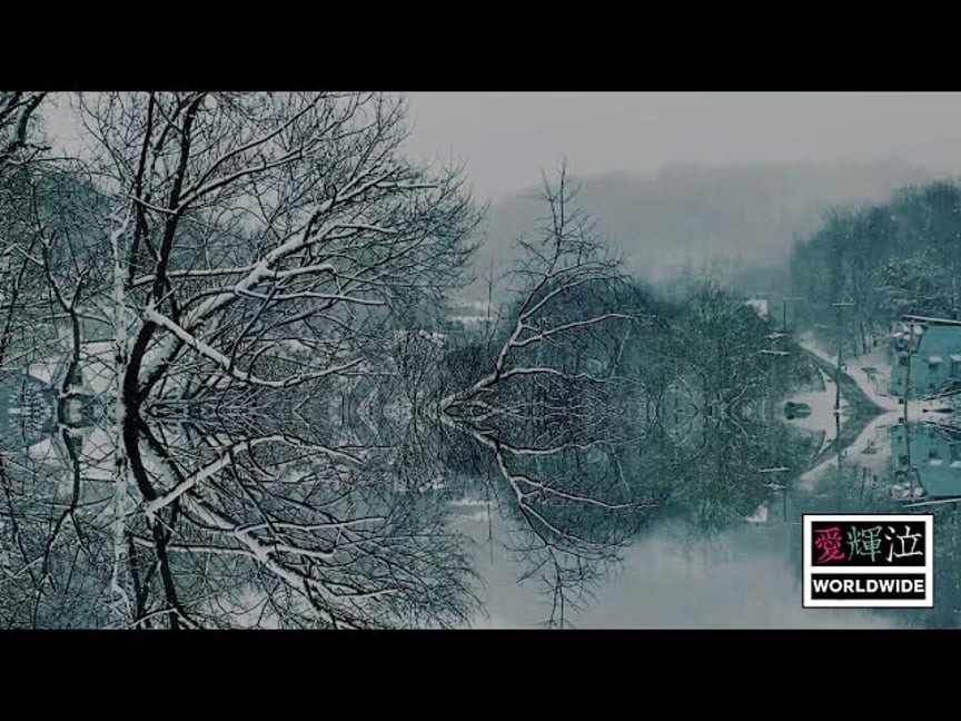 He Said / She Said (prod. Designer Death) [Official Visualizer]