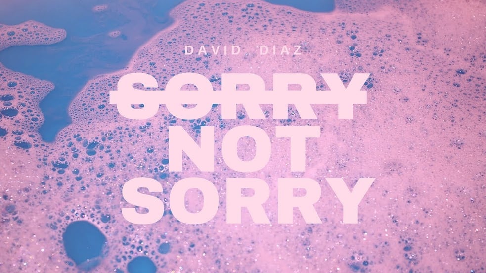 Demi Lovato - Sorry Not Sorry (Cover by David Diaz)