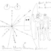 Biologically Ubiquitous Demonstrably Superfluous - Digital