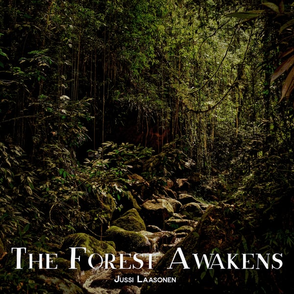 The Forest Awakens - Digital image