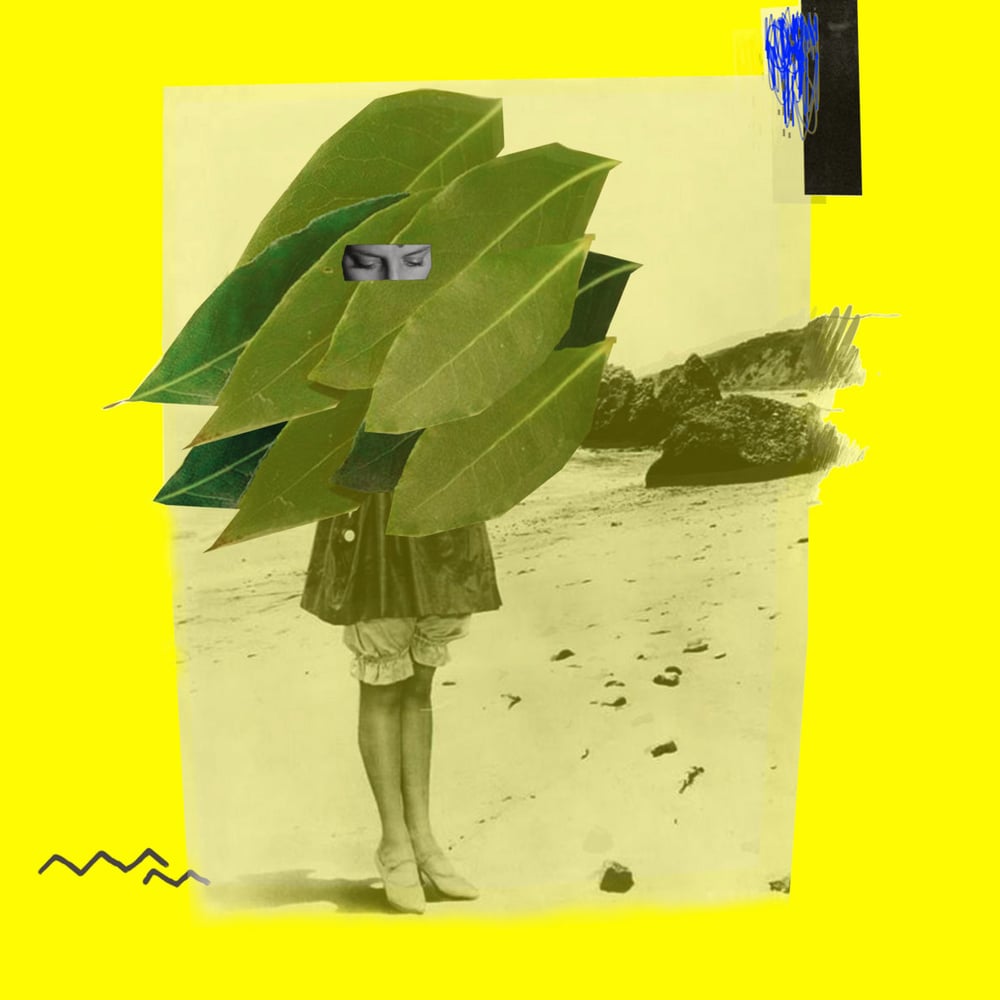 Hidden Seas Remixed [Digital]