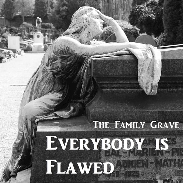 Everybody Is Flawed image