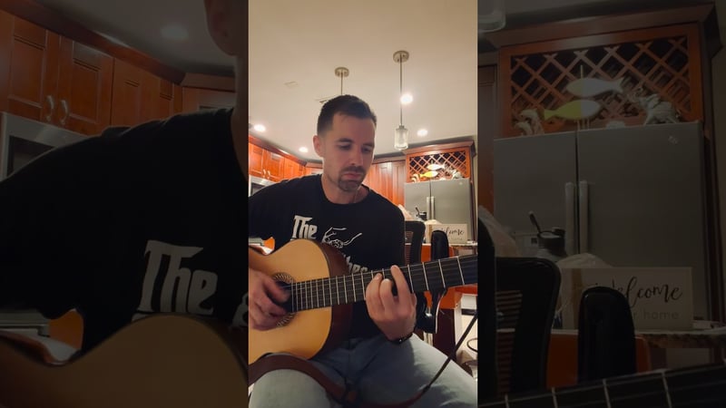 Teenage Dirtbag (originally by Wheatus) #music #guitar #acoustic