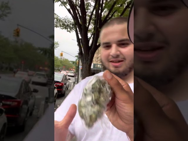 The adventures of 2gs and DOOLIE GZZ part 3