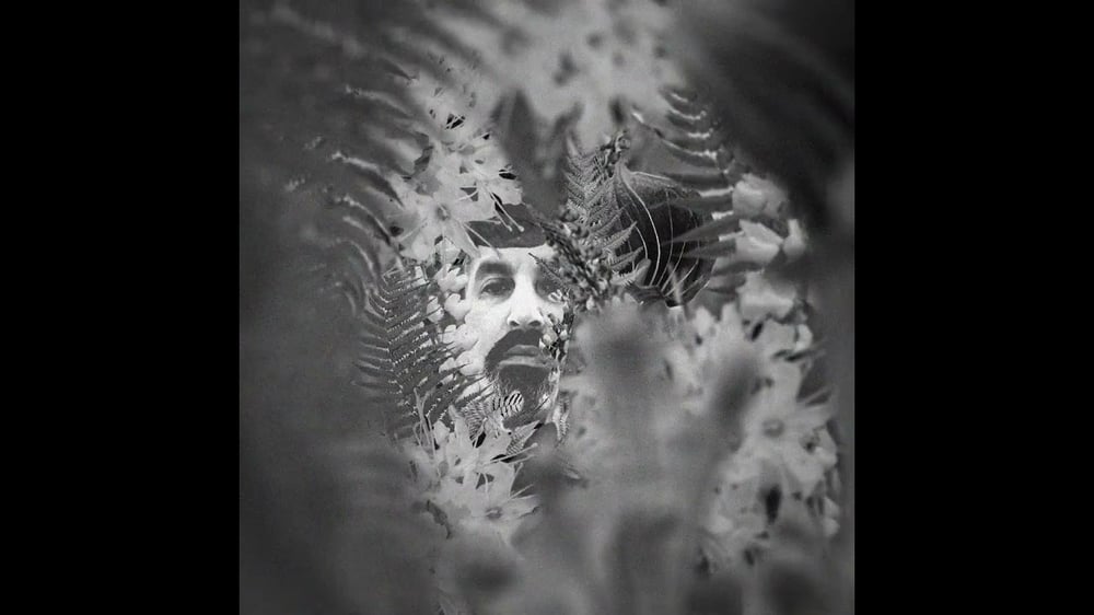 Mike Bern - New World