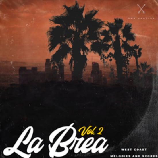"La Brea vol. 2" Sample Library - by RMB Justize