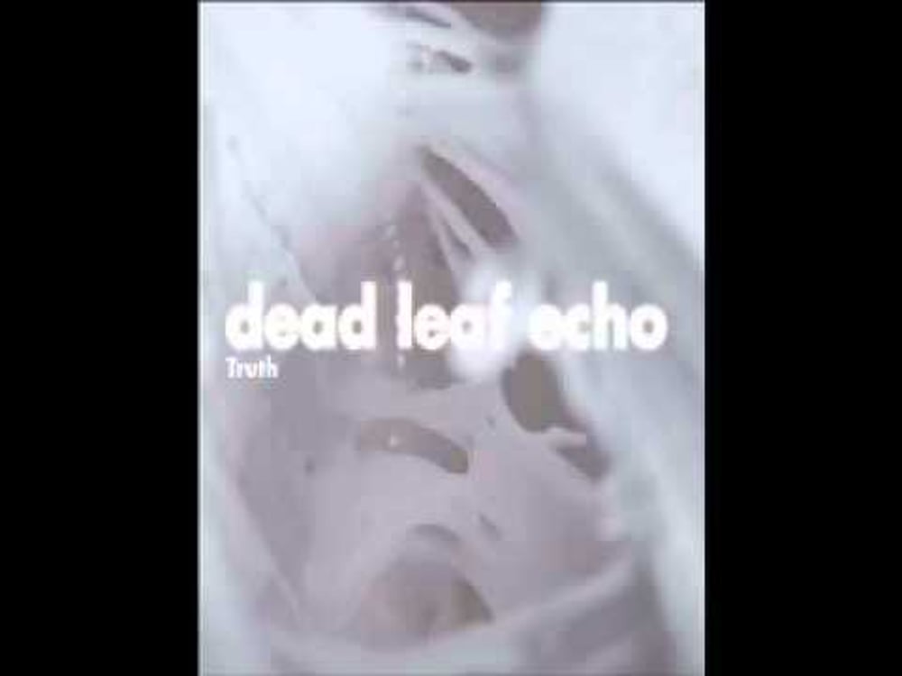 Dead Leaf Echo "Grey Town "