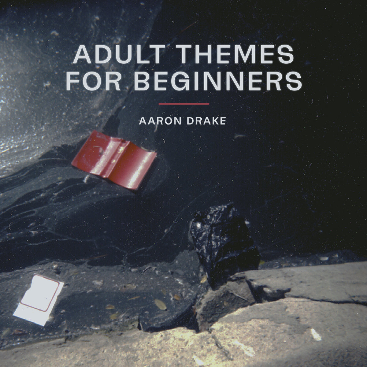 Adult Themes for Beginners