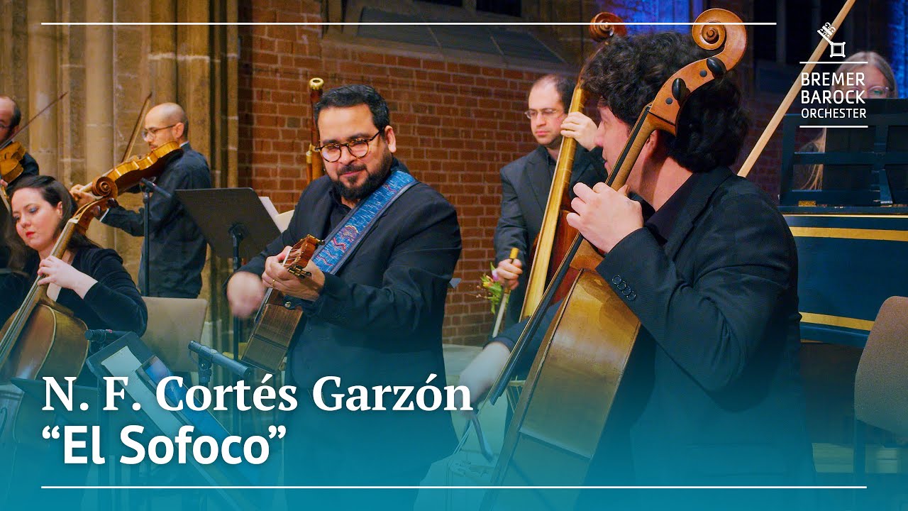 Néstor Fabián Cortés Garzón: El Sofoco