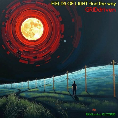 FIELDS OF LIGHT find the way