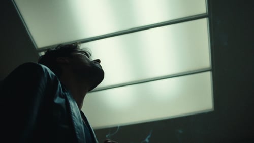 Freeform (Lyric Video)