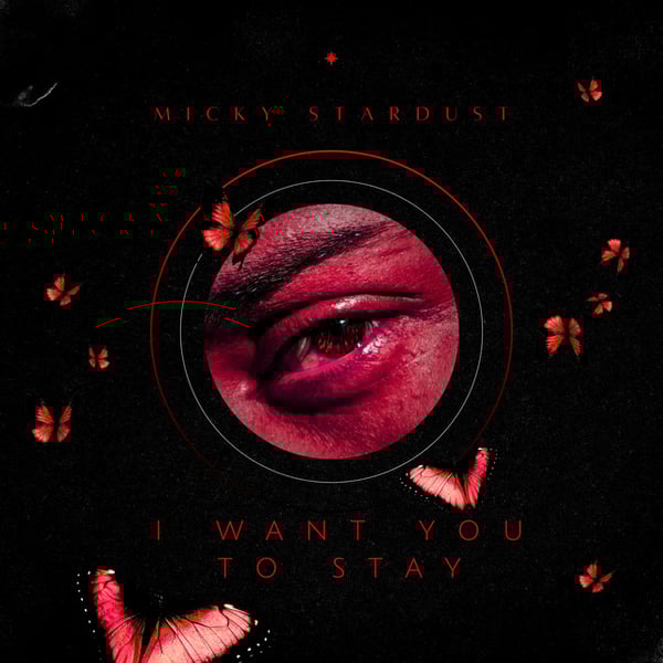 I Want You To Stay (Radio Mix) image