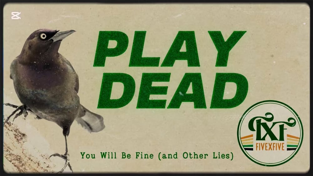 “You Will Be Fine (and Other Lies)” by Five.X.Five