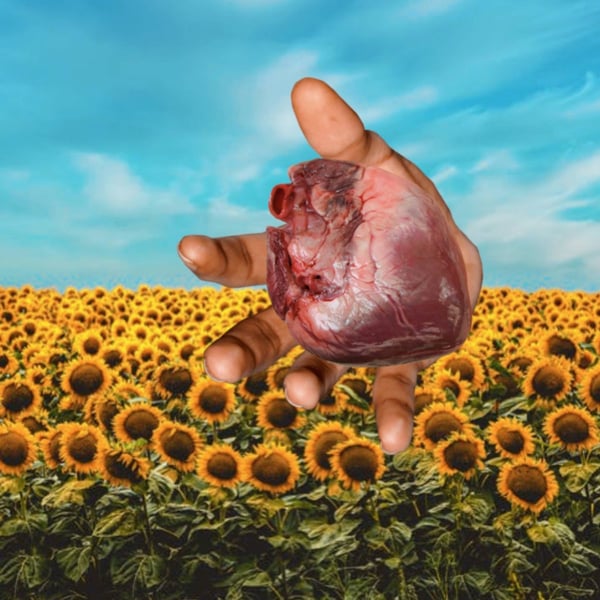 She's So Sweet image