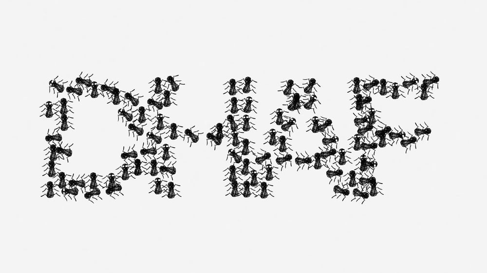 "Death Has A Face" - Official Lyric Video