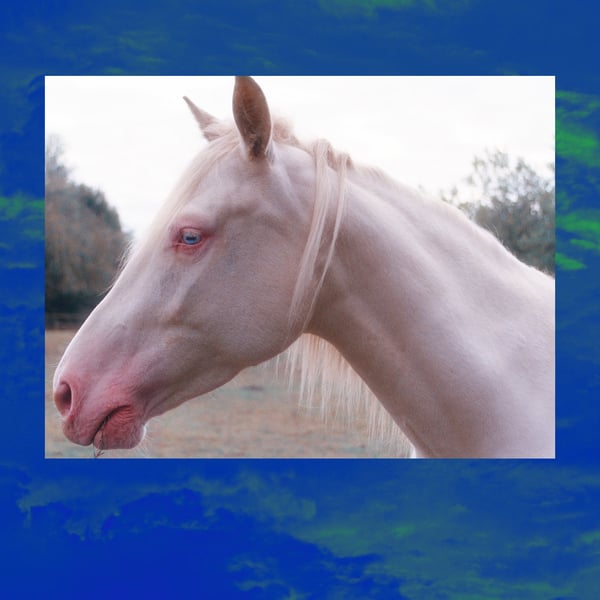 Movimento - Digital image