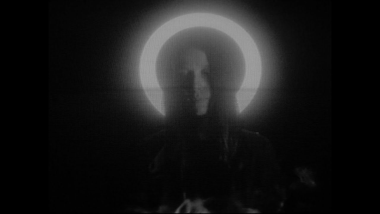 Softcult - Heaven [official video]