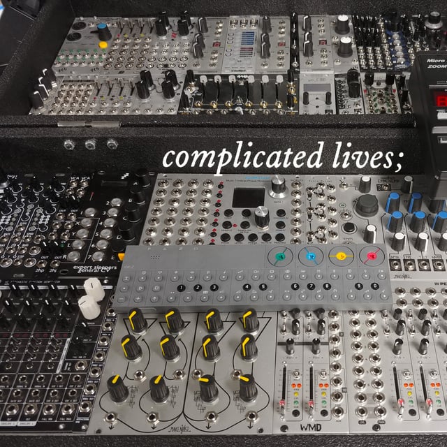 complicated lives; image