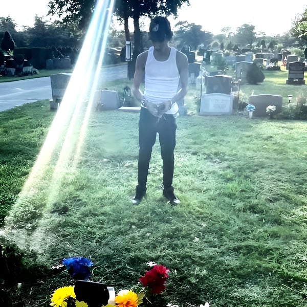 LET'S GET THE DOGS HOME