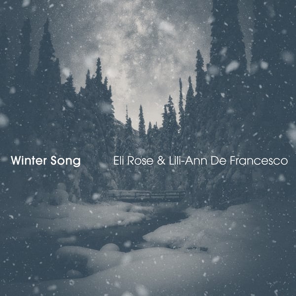 Winter Song image
