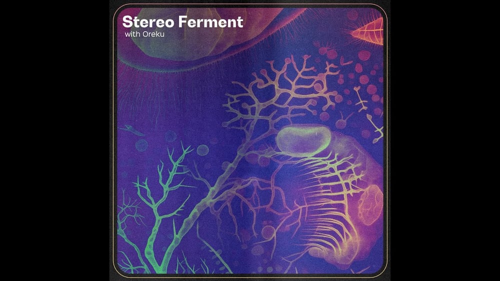 STEREO FERMENT #46: Dubby, Tropical, Balearic, Psych
