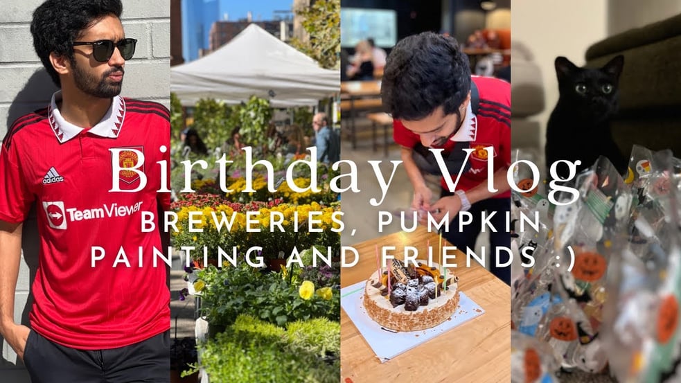 Birthday Vlog - Breweries, Pumpkin Painting and Friends!
